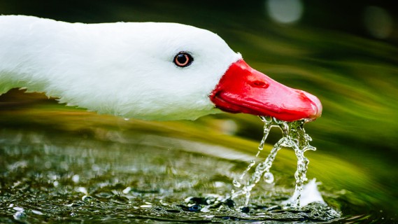 0005_referenzen_frank_weber_fotologbuch_0005