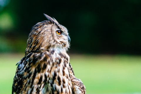 0006_referenzen_frank_weber_fotologbuch_0006