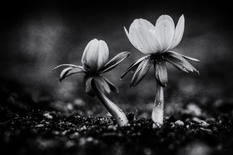 0011_referenzen_frank_weber_fotologbuch_0011