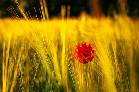 0021_referenzen_frank_weber_fotologbuch_0021