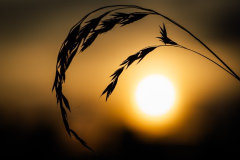 0023_referenzen_frank_weber_fotologbuch_0023