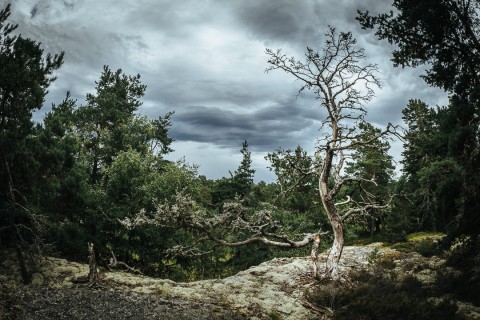 0024_referenzen_frank_weber_fotologbuch_0024