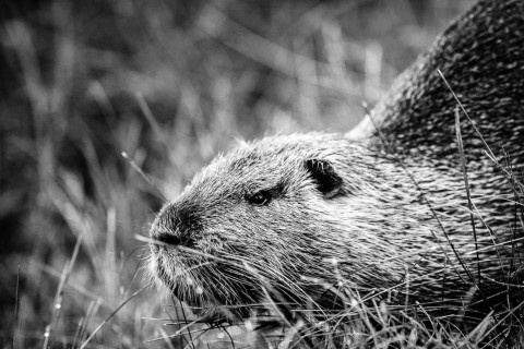 0025_referenzen_frank_weber_fotologbuch_0025