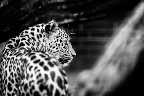 0026_referenzen_frank_weber_fotologbuch_0026