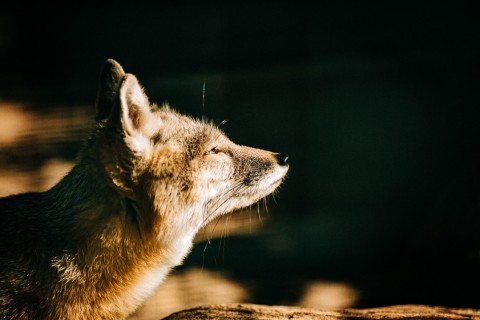 0027_referenzen_frank_weber_fotologbuch_0027