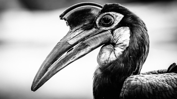 0028_referenzen_frank_weber_fotologbuch_0028