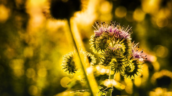 0034_referenzen_frank_weber_fotologbuch_0034