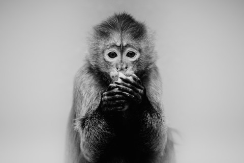 0041_referenzen_frank_weber_fotologbuch_0041