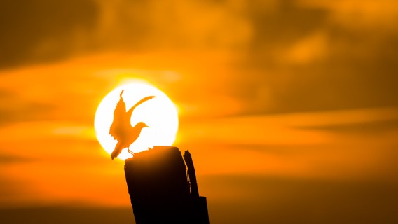 0055_referenzen_frank_weber_fotologbuch_0055