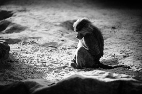 0102_referenzen_frank_weber_fotologbuch_0102