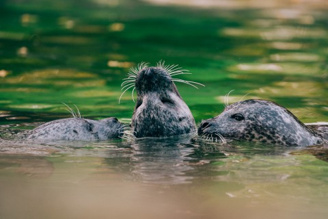 0106_referenzen_frank_weber_fotologbuch_0106