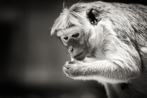 0107_referenzen_frank_weber_fotologbuch_0107