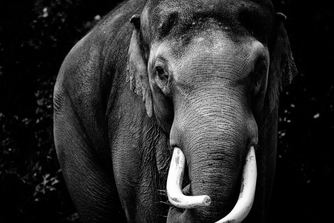 0118_referenzen_frank_weber_fotologbuch_0118