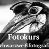 Fotologbuch - Fotokurs Schwarzweißfotografie, (Foto copyright - Frank Weber - Berlin - fotologbuch.de)