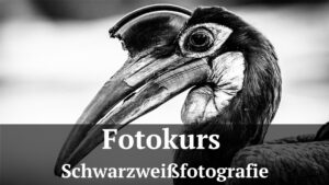 Fotologbuch - Fotokurs Schwarzweißfotografie, (Foto copyright - Frank Weber - Berlin - fotologbuch.de)