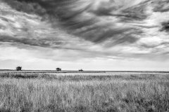 Fotokurs Natur- und Landschaftsfotografie in Prerow, (Foto copyright - Frank Weber - Berlin - fotologbuch.de)